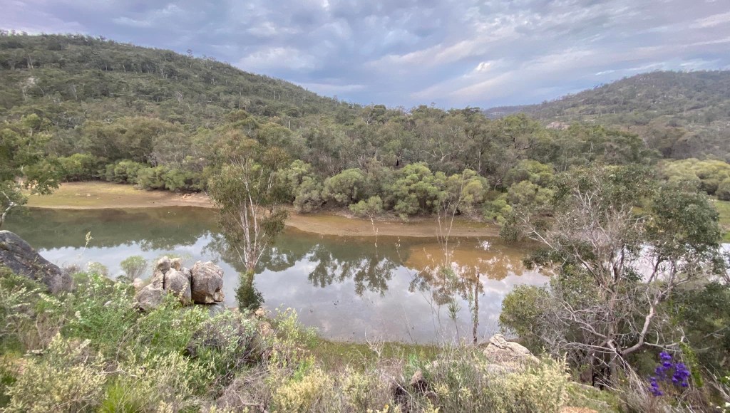 Image credit to Francesca Flynn at Evergreen Consultancy WA